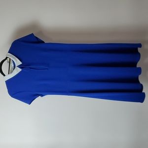 Pappagallo Dress Size 12 Royal Blue/white